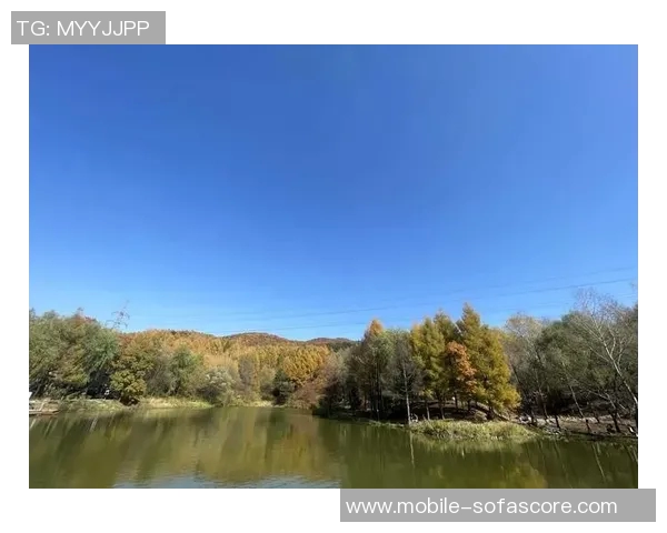 山谷独立与传统观念的碰撞探索新视角与未来发展之路